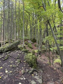 Kuva osoitteesta Günter Ritzer matkan varrella