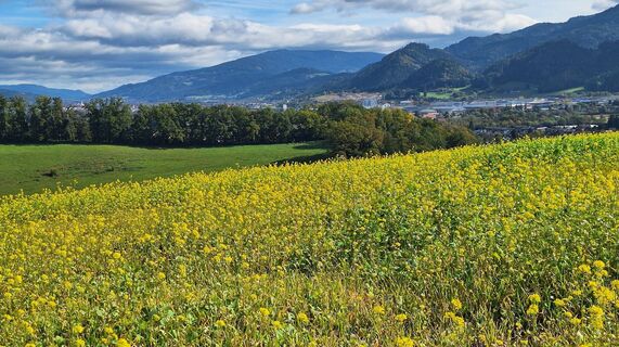 Fotografia z Regina Fleischmann na trase
