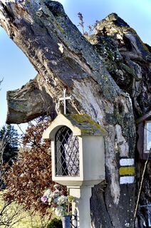 Foto von Kellner Heidi entlang der Tour