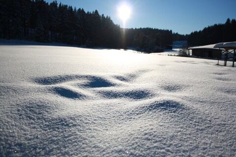 Landschaft Loipen Brilon