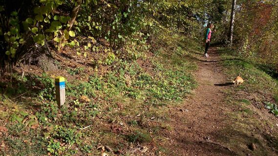 Bio-Rundwanderweg