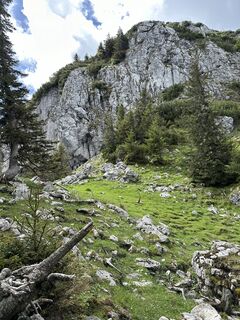 Foto da justasimpleguy lungo il tour