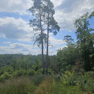 Raabs an der Thaya, Niederösterreich/Österreich