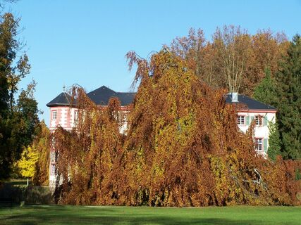 Schloss Eichtersheim