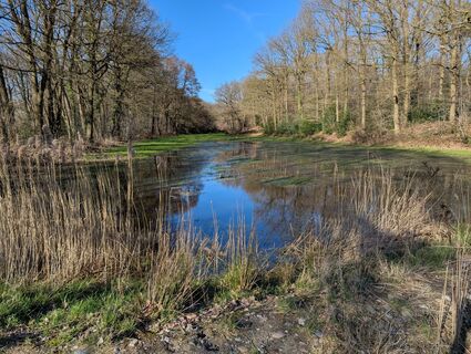Fotografija s spletne strani Matje Derks na poti
