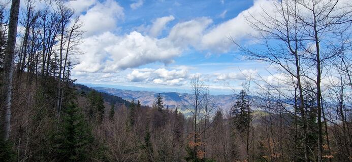 Foto de Utassy Tóth Johanna a lo largo del recorrido