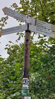 Photo de Helene Singer le long du parcours