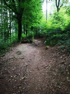 Foto da roxana62 lungo il tour