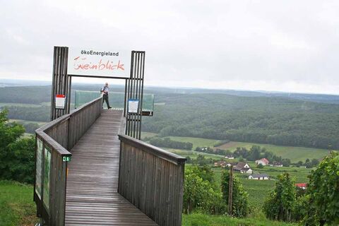 Weinblick