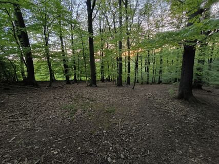 Photo de Dietmar Lüdenscheid ? le long du parcours