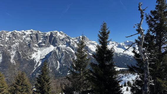 Fotografija s spletne strani Libor Felkl na poti