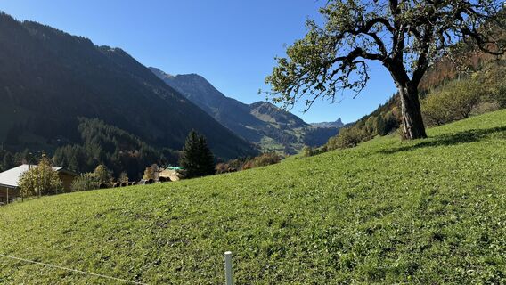 Foto von peter_oe entlang der Tour