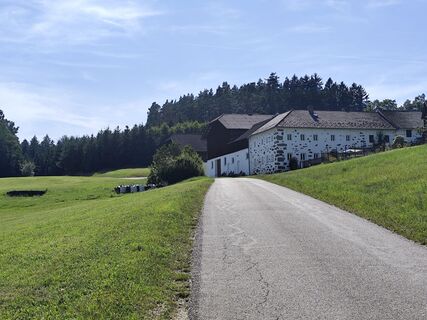 Fotografija s spletne strani Edith K. na poti