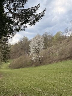 Zdjęcie z Maria Lattacher wzdłuż trasy