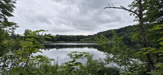 Foto de Hari Schrittwieser a lo largo del recorrido