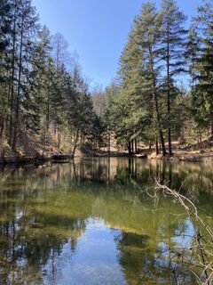 Foto från AN NE 4 under resans gång