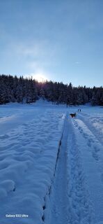 Fotografia z Mario Augustini na trase