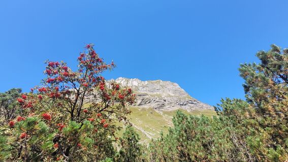 Foto von deniuru entlang der Tour