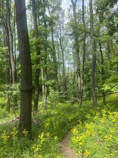 Photo de Gábor Szomódi le long du parcours