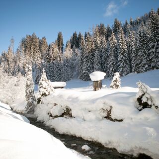Winter im Schwarzleotal