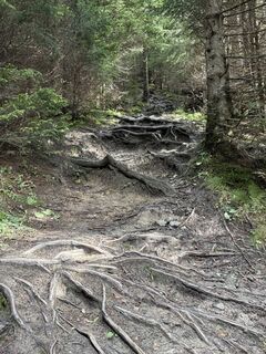 Photo de Silkrie ?✌️ le long du parcours