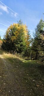 Photo de Nat Alia le long du parcours