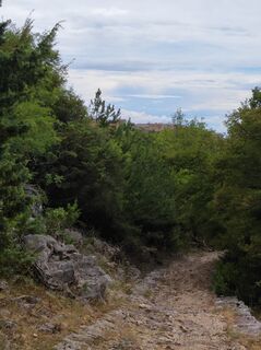 Foto von Waltraud Pölzl entlang der Tour