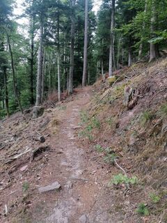 Foto von Didier Mattair entlang der Tour