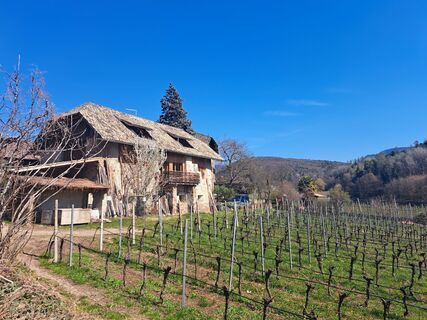 Fotografie z Christian Lerchster na trase