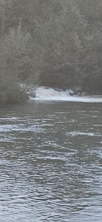 Photo de Silvia Meznaric 1 le long du parcours