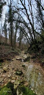 Foto von Davor  Umag City Croatia.?? entlang der Tour