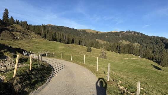 Fotografie z peter_oe na trase