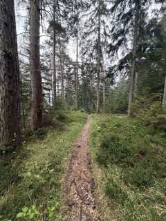 Photo de Luca Pirker le long du parcours