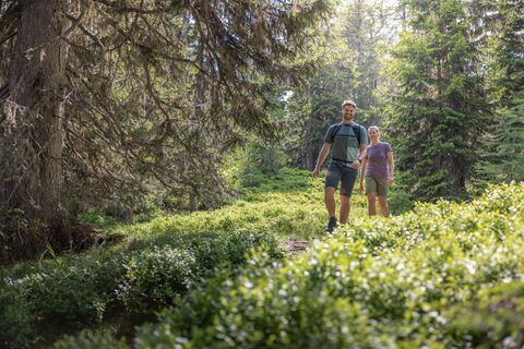 Wandern am Pleschnitzzinken