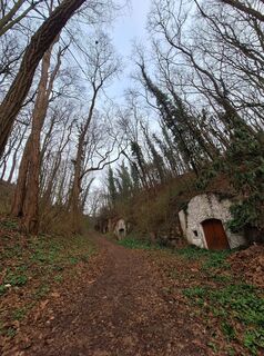 Foto von Mimi entlang der Tour