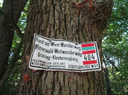 Kahlenberg - Klosterneuburg - Greifenstein