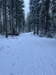 Foto von Luis Hilger entlang der Tour