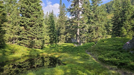 Photo de Francesco Höllbacher le long du parcours