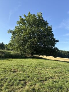 Photo de Marius Czerny le long du parcours