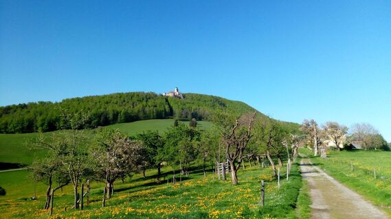 Foto von Marcin 1 entlang der Tour