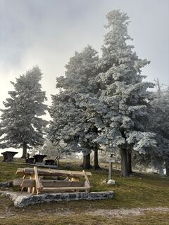 Photo de Georgiamartin0815 le long du parcours