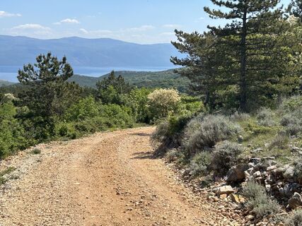 Zdjęcie z Hwidmoser wzdłuż trasy