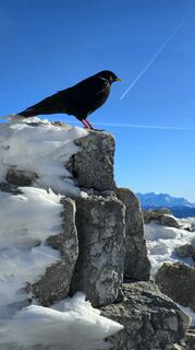 Foto von se_muck entlang der Tour
