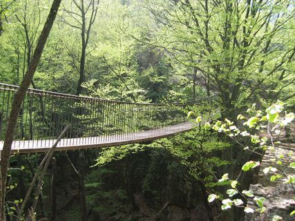 Friedensweg mit Rastenbachklamm