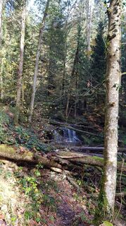 Foto von Martina Bürkle entlang der Tour