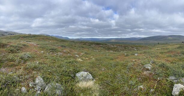 Fotografija s spletne strani Nikolaus Ludwig 1 na poti