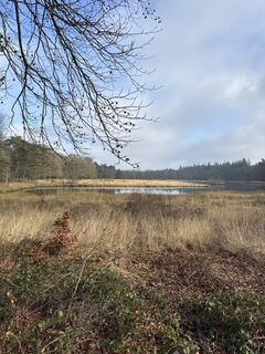 Foto von Babita entlang der Tour