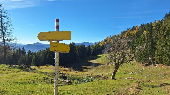 Fotografija s spletne strani Regina Fleischmann na poti