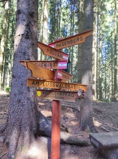 Photo de v.stein le long du parcours