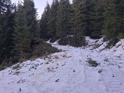 Foto fra Albert Angerer63 underveis på turen